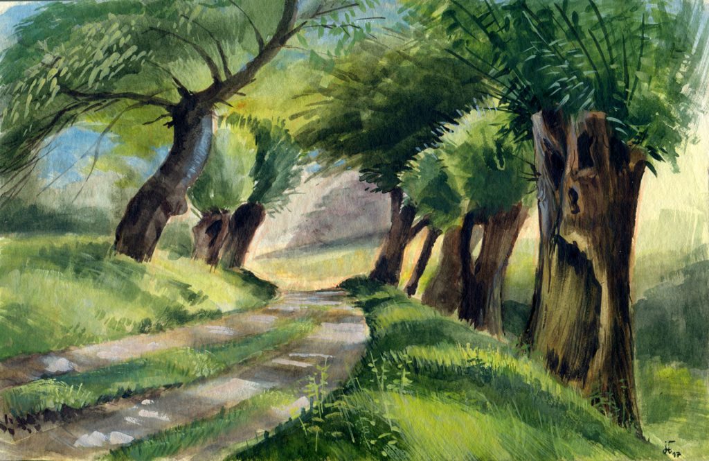 water colour - gouache - illustration - willows on the peninsula of Devin