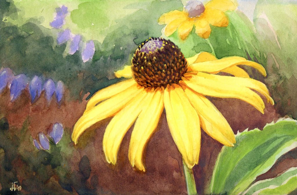 water colour - botanical illustration yellow flower