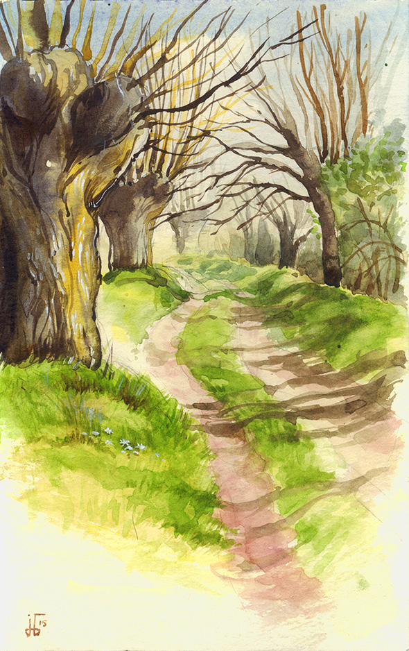 water colour - gouache - illustration - plein air - willows on the peninsula of Devin