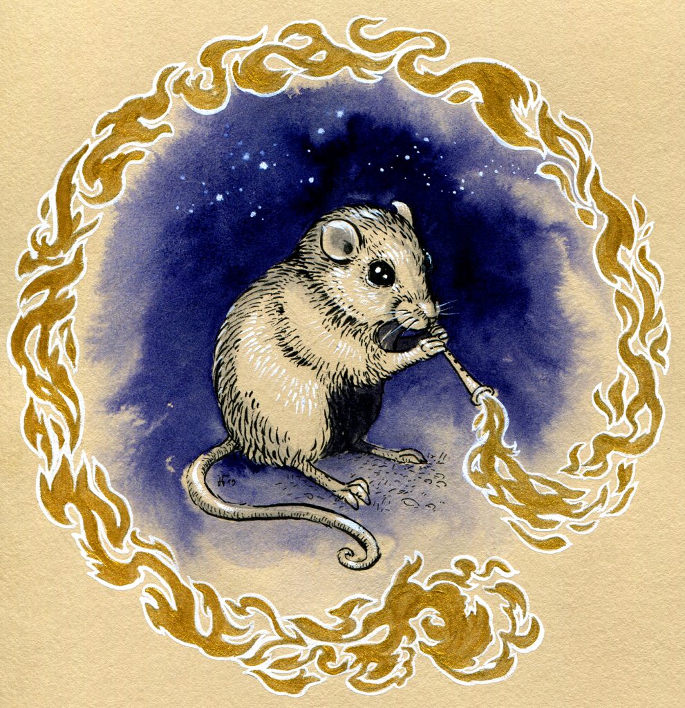 Pacific Pocket Mouse - Inktober 2019 - ink, indigo drawing ink, white gouache and golden acrylic