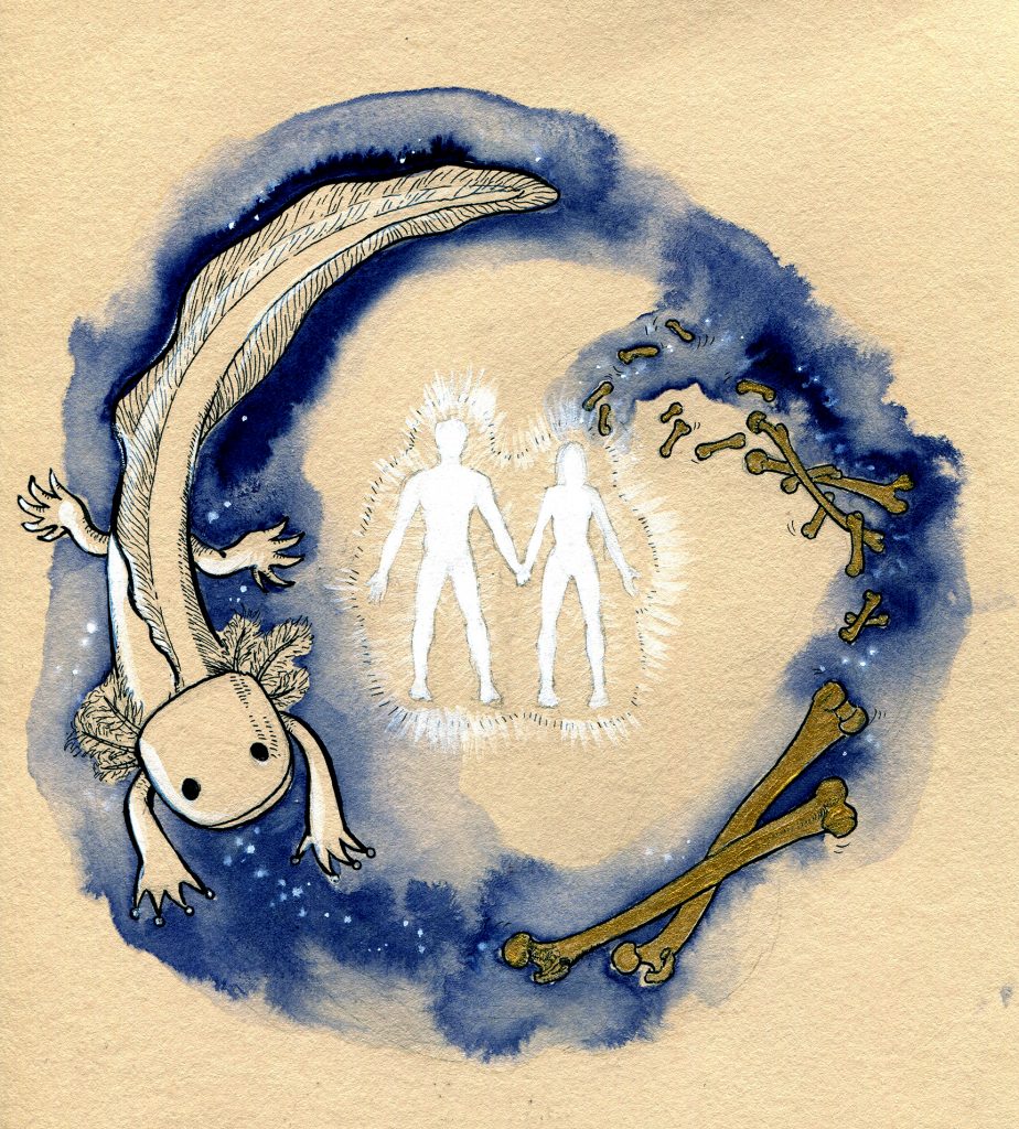 Axolotl - Inktober 2019 - ink, indigo drawing ink, white gouache and golden acrylic