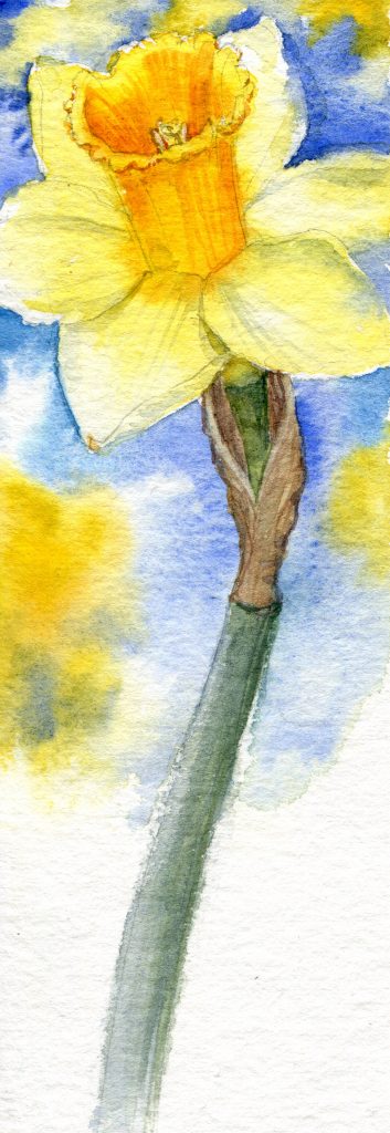 daffodill - water color - Say thank you and stay at home.