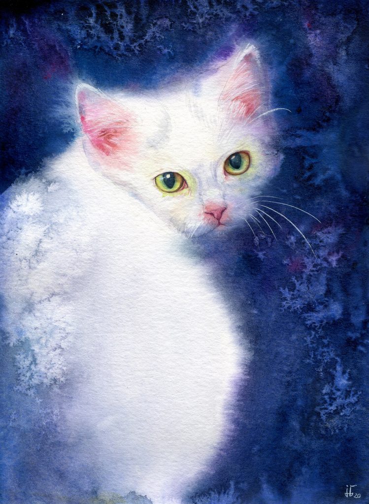 water colour - illustration - cat - favorite pet - animal portrait - white cat - cat sketch