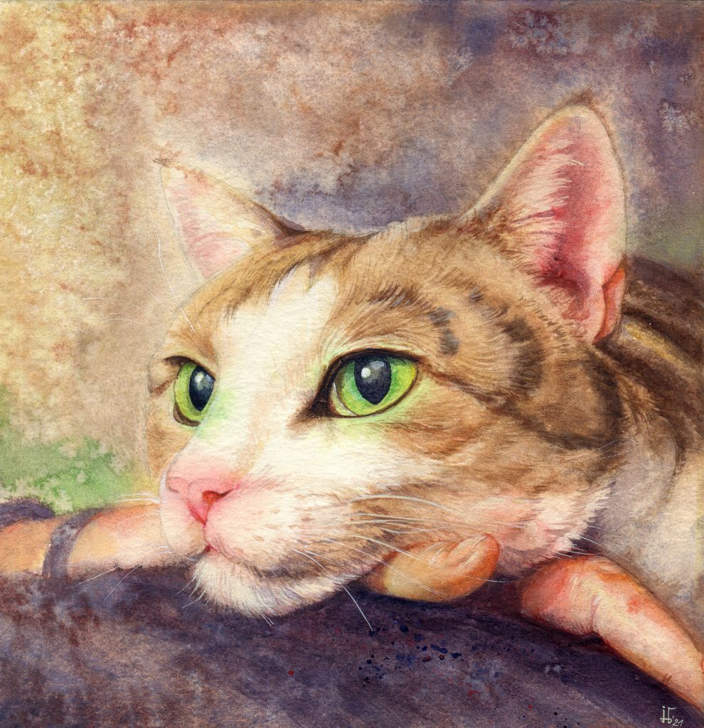 Aquarell - Illustration - Katze - Lieblingstier - Tierportrait - gestreifte Katze