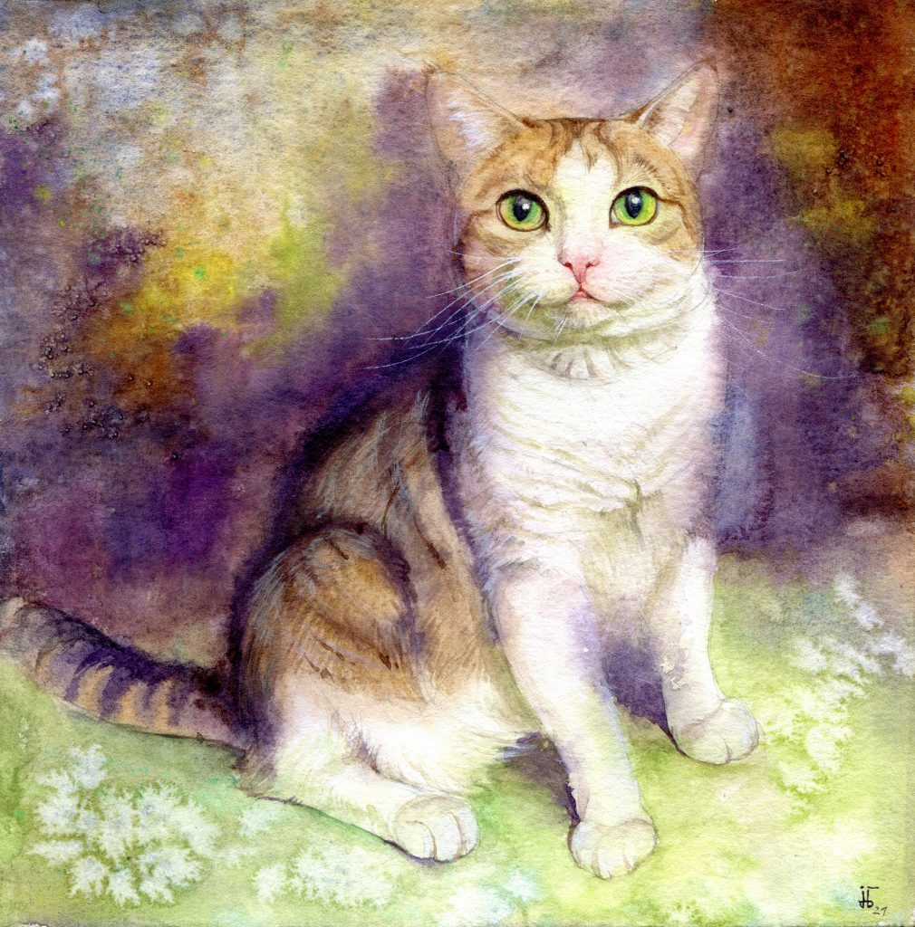 water colour - illustration - cat - favorite pet - animal portrait - tabby cat