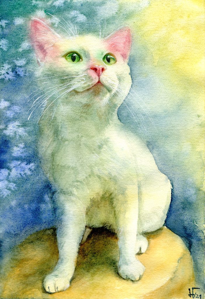 water colour - illustration - white cat - pet portrait for the calender of our local animal rescue center