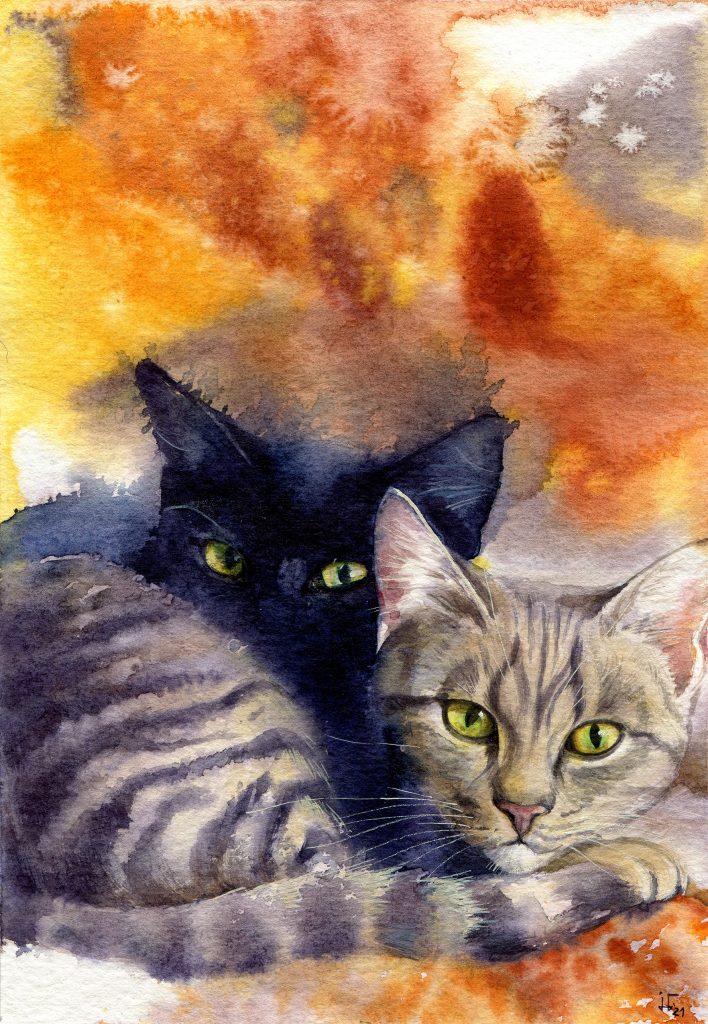 Aquarell - Illustration - getigerte und schwarze Katze - Tierportrait für den Kalender des Tierschutzbundes Greifswald