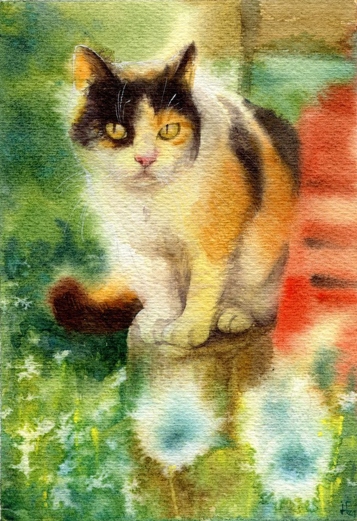 water colour - illustration - calico cat - pet portrait for the calender of our local animal rescue center