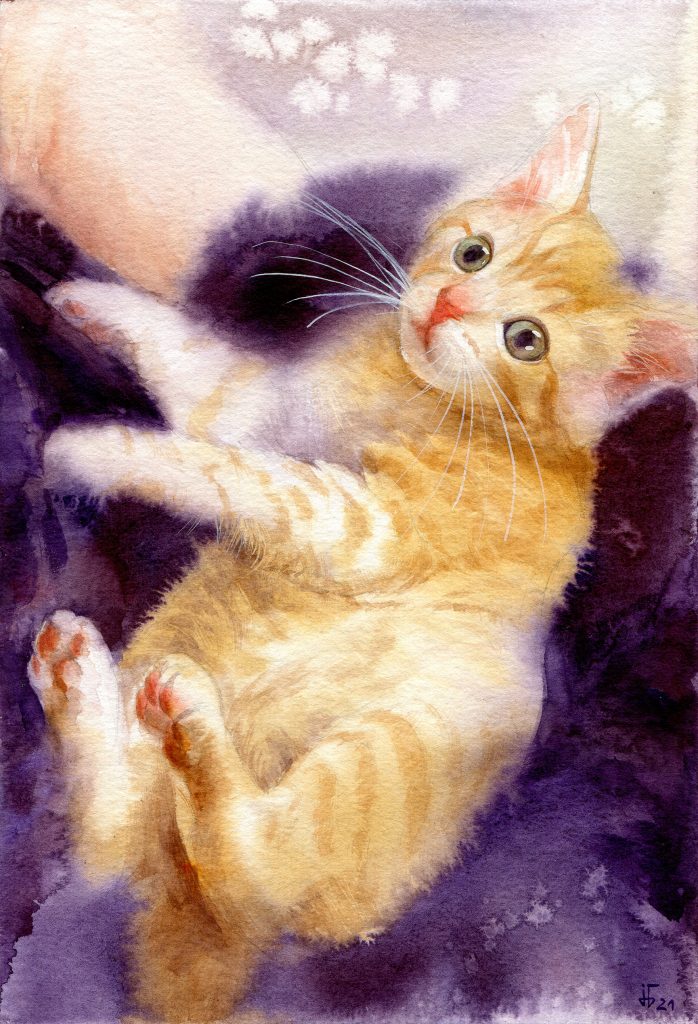 water colour - illustration - ginger cat - pet portrait for the calender of our local animal rescue center
