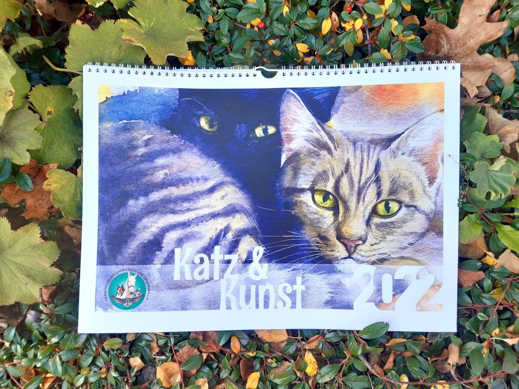 Kalender für den Tierschutzbund Greifswald mit meinen Tieraquarellen