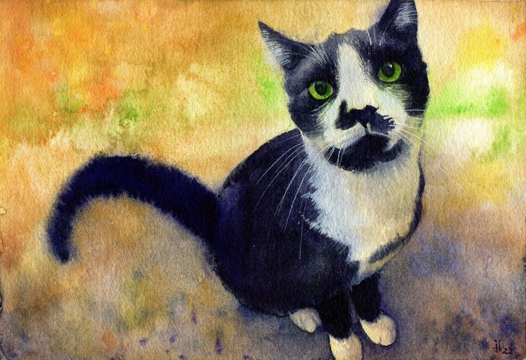 Charlie - pet portrait done in watercolour, animal art, animal illustration