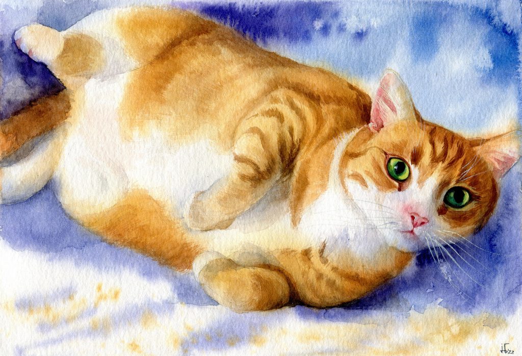 Chili - pet portrait done in watercolour, animal art, animal illustration
