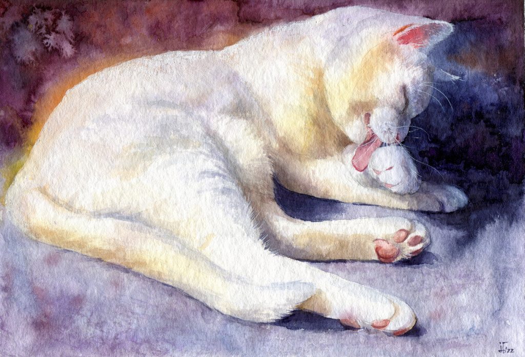 weiße Katze im Sonnenlicht - Tierportrait in Aquarell, Tier-Illustration, Tier-Malerei