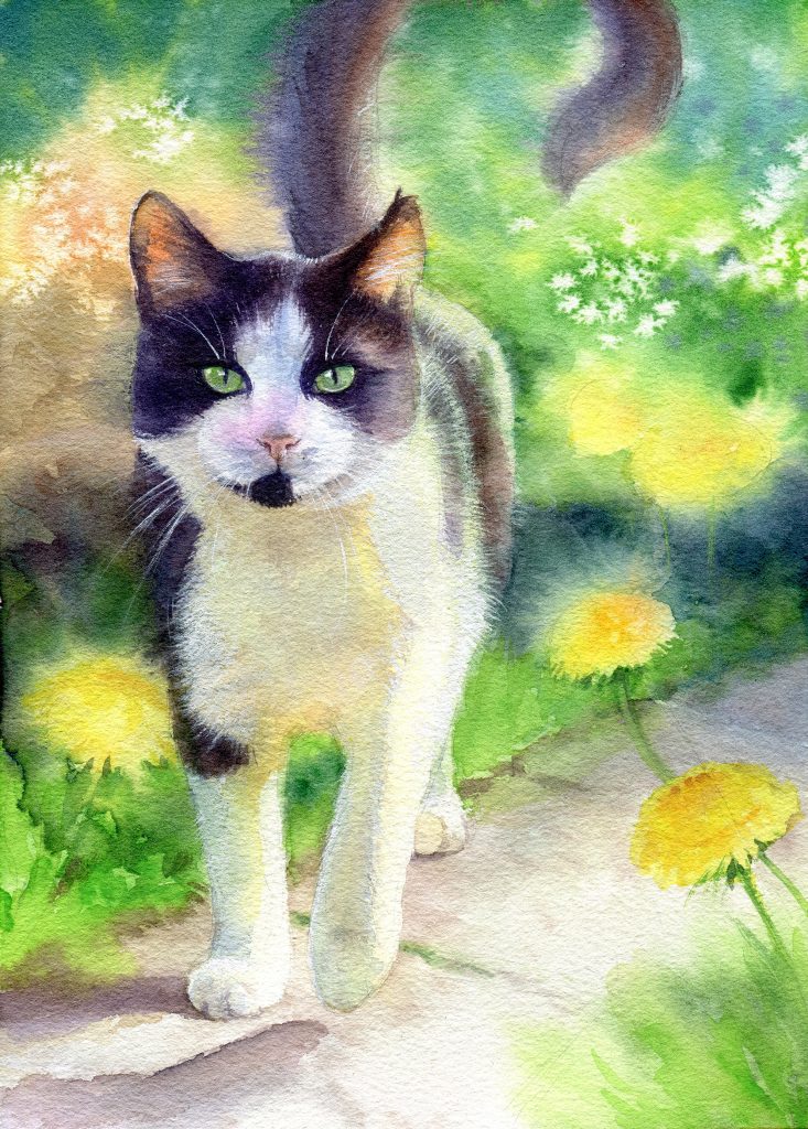 Feivel - pet portrait done in water colour, animal art, animal illustration