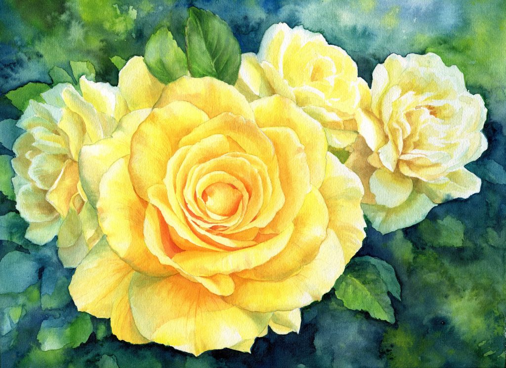 Aquarell - botanische Illustration - gelbe Blume - Rosen